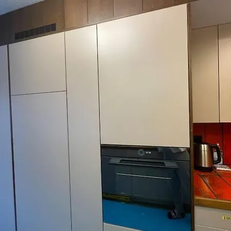 Exclusive 160mq Castle In 公寓 达沃斯