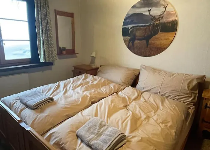 Exclusive 160mq Castle In Davos